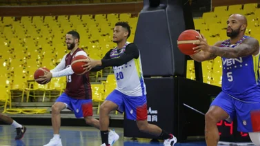 ¿Quiénes pueden ser los pilotos de la Vinotinto de las alturas?