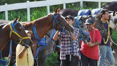 Estos son los retirados de la Reunión N°44 en La Rinconada 17-11-2024 Estos son los retirados de la Reunión N°44 en La Rinconada 17-11-2024