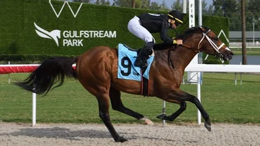 Tendón Pérez inicia el fin de semana de manera invicta en Gulfstream Park