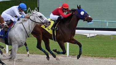 Cipriano Gil vuelve a ganar en Gulfstream Park después de este tiempo