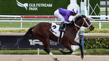 Jorge Delgado suma otra victoria más a su cuenta en Gulfstream Park 