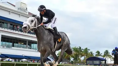 Víctor Barboza Jr. se unió a la fiesta de victorias con su único ejemplar en Gulfstream Park Víctor Barboza Jr. se unió a la fiesta de victorias con su único ejemplar en Gulfstream Park
