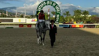 Nieto de Tapit gana el Clásico Nuestra Señora de Chiquinquirá para machos Nieto de Tapit gana el Clásico Nuestra Señora de Chiquinquirá para machos