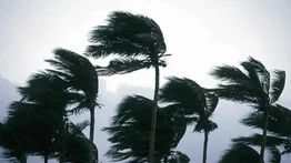 México establece zona de prevención por avance de la tormenta tropical Sara