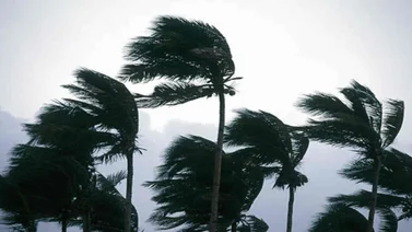 México establece zona de prevención por avance de la tormenta tropical Sara