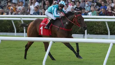 El antes mejor caballo del mundo reaparece a lo grande y vuelve por su corona