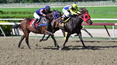 Tres jinetes son multados por esta razón luego de celebrada la reunión 44 Tres jinetes son multados por esta razón luego de celebrada la reunión 44