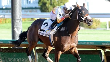 Jinete panameño gana ocho carreras el fin de semana en Churchill Downs