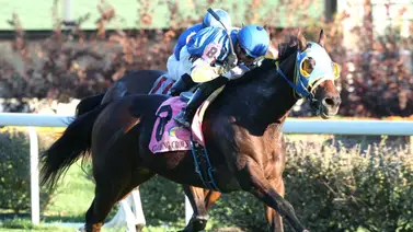 Francisco Arrieta con el mejor dividendo de las Claiming Crowns del sábado Francisco Arrieta con el mejor dividendo de las Claiming Crowns del sábado
