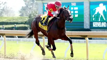 Junior Alvarado montará a la única potra de 3 años en stakes de Grado Junior Alvarado montará a la única potra de 3 años en stakes de Grado