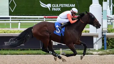Cipriano Gil gana con batacazo y hace esto por primera vez en Estados Unidos Cipriano Gil gana con batacazo y hace esto por primera vez en Estados Unidos