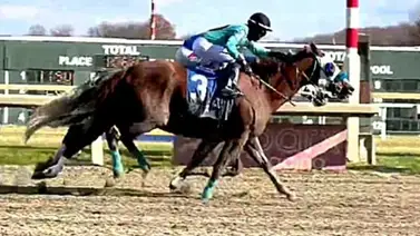 Franklin González Jr. vuelve a romper la taquilla entre dos en Parx Racing (+video) Franklin González Jr. vuelve a romper la taquilla entre dos en Parx Racing (+video)