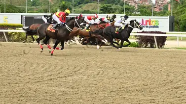 40 millones de bolívares como monto mínimo para los seis de la fama 40 millones de bolívares como monto mínimo para los seis de la fama