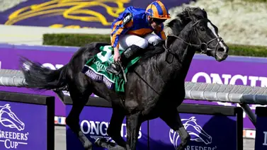 Estos son los nominados a la Japan Cup de 2024 a disputarse este domingo Estos son los nominados a la Japan Cup de 2024 a disputarse este domingo