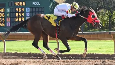 Keiber Coa a punto de lograr esta hazaña en el meeting de Finger Lakes Keiber Coa a punto de lograr esta hazaña en el meeting de Finger Lakes