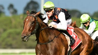 Jockey que ganó su primera carrera en 1969, se retira con una victoria en un Stakes a los 71 años