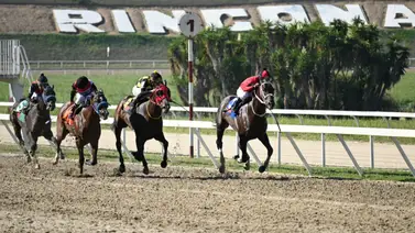 Reaparece en La Rinconada hijo de un gran semental venezolano Reaparece en La Rinconada hijo de un gran semental venezolano
