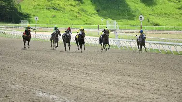 Yegua que en su última fue puesta bajo averiguación regresa a la pista luego de 105 días sin correr Yegua que en su última fue puesta bajo averiguación regresa a la pista luego de 105 días sin correr