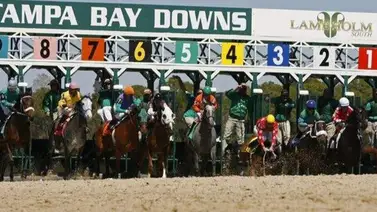 Seis jockeys venezolanos en el inicio del meeting en Tampa Bay Downs Seis jockeys venezolanos en el inicio del meeting en Tampa Bay Downs
