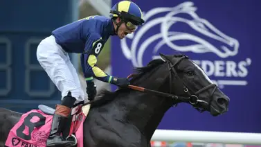 Ganador de la Breeders'Cup en 2024 es retirado de las pistas Ganador de la Breeders'Cup en 2024 es retirado de las pistas