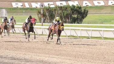 Pendientes de este caballo que en su última fue gran favorito y corrió negado Pendientes de este caballo que en su última fue gran favorito y corrió negado