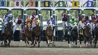 Jockeys venezolanos ganan cuatro de las diez carreras del lunes en Park Racing