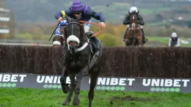 Tragedia! Tres caballos mueren el mismo día en este hipódromo Tragedia! Tres caballos mueren el mismo día en este hipódromo