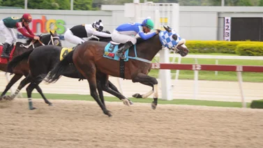 Reaparece nieto de caballo ganador del Kentucky Derby en la reunión 45