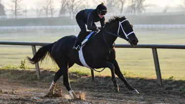 Yoqueta que trabaja como analista hípica gana su primera carrera en el 2024 Yoqueta que trabaja como analista hípica gana su primera carrera en el 2024