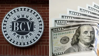 Dólar BCV para este miércoles 20 de noviembre según Banco Central de Venezuela