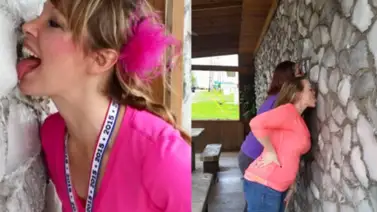 El museo para lamer paredes que causa sensación El museo para lamer paredes que causa sensación