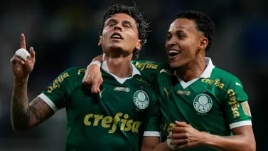 ¿Quién Dominará el Arena Fonte Nova? Bahia busca romper la racha de Palmeiras ¿Quién Dominará el Arena Fonte Nova? Bahia busca romper la racha de Palmeiras