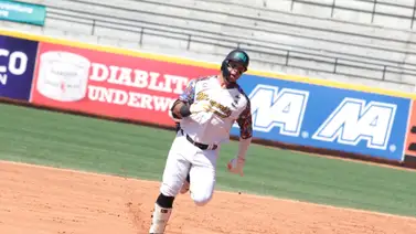 LVBP: Leones del Caracas vs. Bravos de Margarita EN VIVO por Meridiano TV LVBP: Leones del Caracas vs. Bravos de Margarita EN VIVO por Meridiano TV