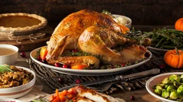 ¿Por qué se como pavo en el Día de Acción de Gracias? La razón detrás de la tradición