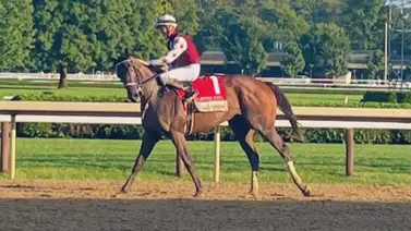 Medio hermano de Thorpedo Anna defenderá su invicto esta semana Medio hermano de Thorpedo Anna defenderá su invicto esta semana