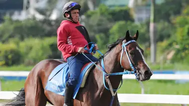 José Gilberto Hernández quiere sorprender con sus montas en el 5y6 de la R45 José Gilberto Hernández quiere sorprender con sus montas en el 5y6 de la R45