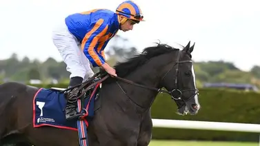 Auguste Rodin versus Goliath la batalla en la Japan Cup del domingo Auguste Rodin versus Goliath la batalla en la Japan Cup del domingo