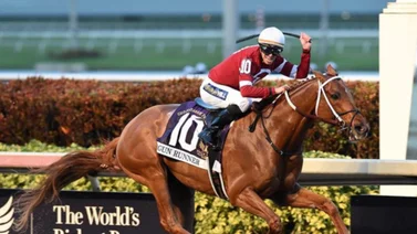 Hijo de Gun Runner llega a Venezuela para 2025