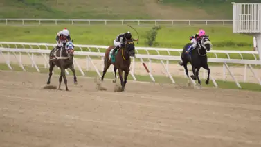 Yegua que enfrentó a dos grandes corredoras, ajusta contenida para sorprender en las carreras no válidas de la R45 Yegua que enfrentó a dos grandes corredoras, ajusta contenida para sorprender en las carreras no válidas de la R45