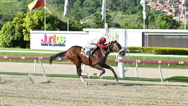 Potro que viene de ganar y puede repetir ajusta muy cómodo para la reunión dominical en La Rinconada Potro que viene de ganar y puede repetir ajusta muy cómodo para la reunión dominical en La Rinconada