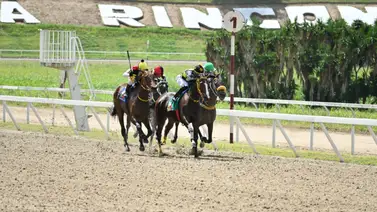 Mira el ajuste de esta yegua que puede sorprender en el Clásico “Aviación Militar Bolivariana” (GII) Mira el ajuste de esta yegua que puede sorprender en el Clásico “Aviación Militar Bolivariana” (GII)