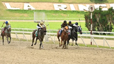  En carrera de muchos datos mira el ajuste de esta yegua que de ganar puede tumbar los cuadros del 5y6