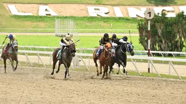 En carrera de muchos datos mira el ajuste de esta yegua que de ganar puede tumbar los cuadros del 5y6 En carrera de muchos datos mira el ajuste de esta yegua que de ganar puede tumbar los cuadros del 5y6