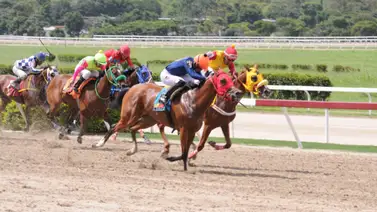 Entérate del ajuste de esta yegua que puede ser el "Gallo Tapao" para triunfar en el 5y6 dominical Entérate del ajuste de esta yegua que puede ser el "Gallo Tapao" para triunfar en el 5y6 dominical