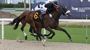 Gran batalla final en la estadística de jockeys de Gulfstream Park este fin de semana