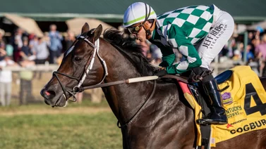 Esta gran estrella montará el fin de semana en Gulfstream Park