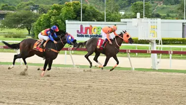 La mejor arma de este ejemplar es la velocidad y ajustó cómodo para tratar de unir partida con llegada en la R45 La mejor arma de este ejemplar es la velocidad y ajustó cómodo para tratar de unir partida con llegada en la R45