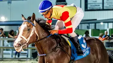 Potra invicta en cuatro salidas buscará su quinto triunfo en Fair Grounds Potra invicta en cuatro salidas buscará su quinto triunfo en Fair Grounds