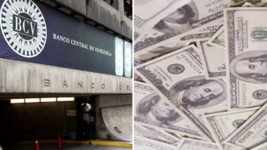 Dólar BCV para mañana viernes 22 de noviembre según Banco Central de Venezuela