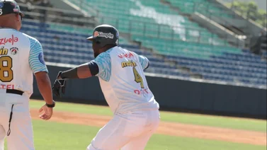 LVBP: Este pelotero es el líder de hits en lo que va de temporada (+Números)